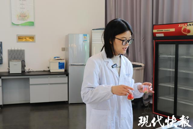 全球草莓界的顶级盛宴缘何落地盐城盐都？(图7)