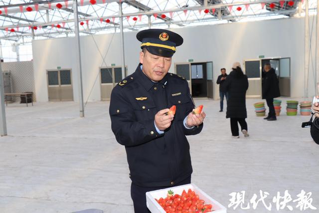 全球草莓界的顶级盛宴缘何落地盐城盐都？(图6)
