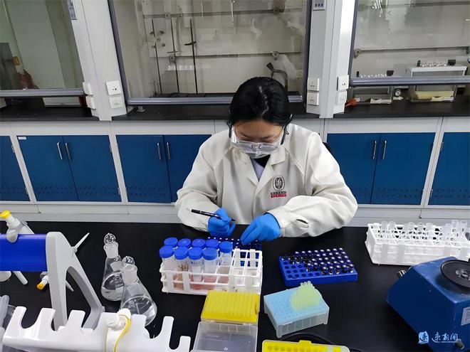 放心吃！宿迁84家草莓种植基地草莓抽检合格率100%(图3)