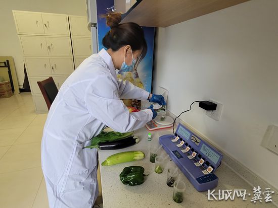 甘肃省酒泉市肃北县市场监管局你点我检进校园 食品安全惠师生(图1)