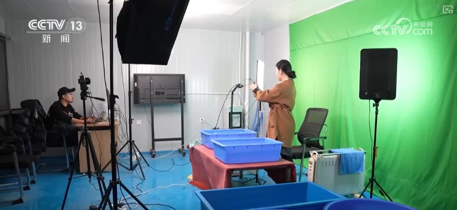 县域商业换新“颜”！工业品快速“下乡”特色农产品“进城”更畅通(图12)