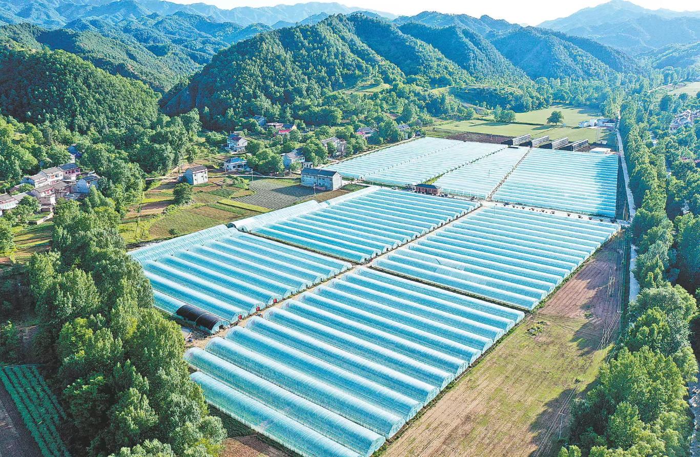 只争朝夕 追“新”逐“绿”——2025年上半年洛南县重点项目建设综述(图3)
