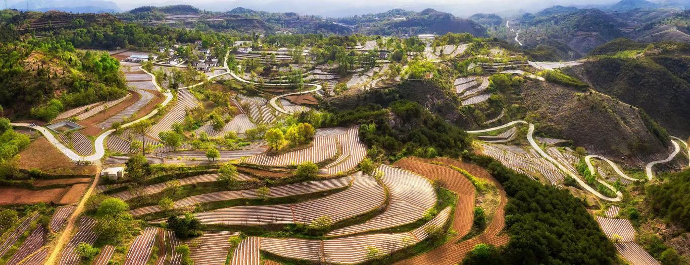 只争朝夕 追“新”逐“绿”——2025年上半年洛南县重点项目建设综述(图6)