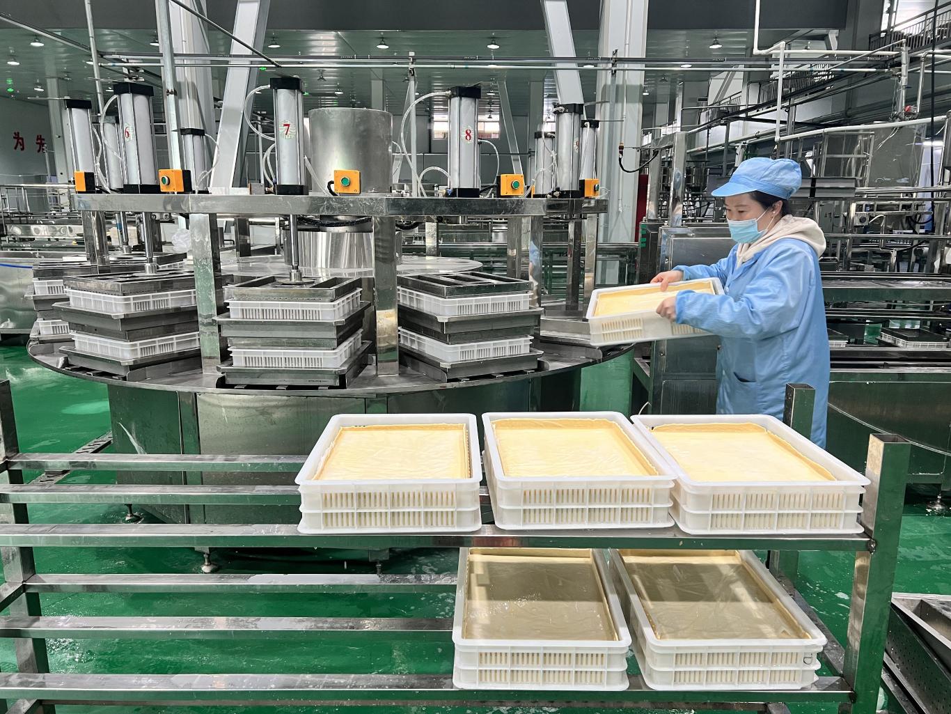 只争朝夕 追“新”逐“绿”——2025年上半年洛南县重点项目建设综述(图5)