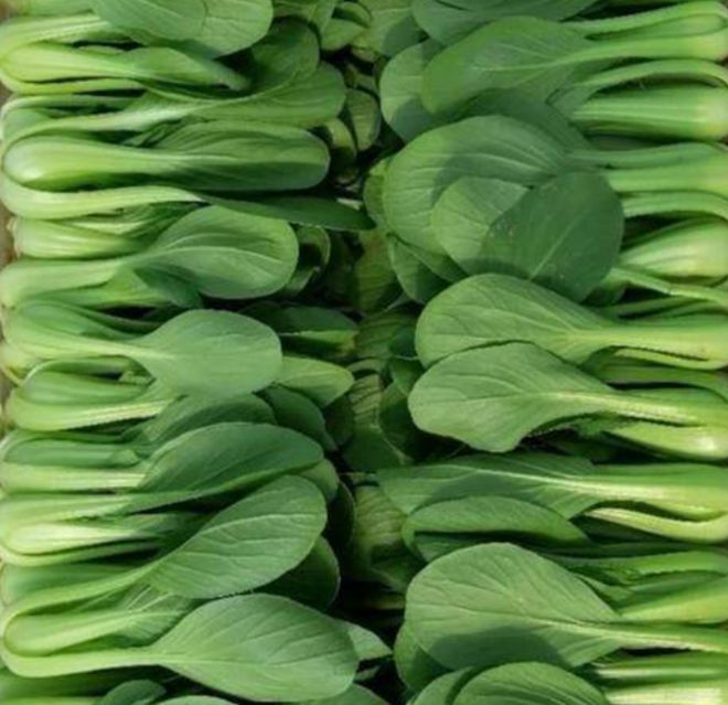 6月买菜有讲究这5种蔬菜尽量少买、少吃农药残留高记得告诉家人(图4)
