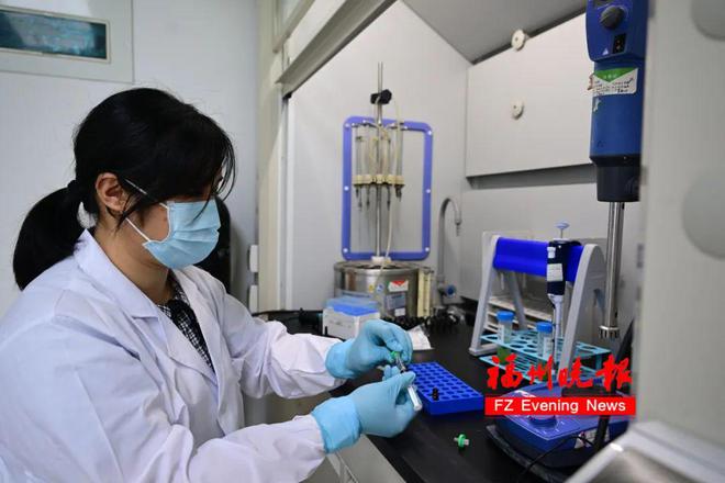 蔬菜照出荧光=农残超标？福州专家实测！结果出乎意料……(图2)